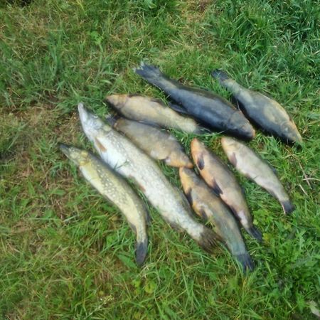 Вілла Eko-Fish Мястко Екстер'єр фото
