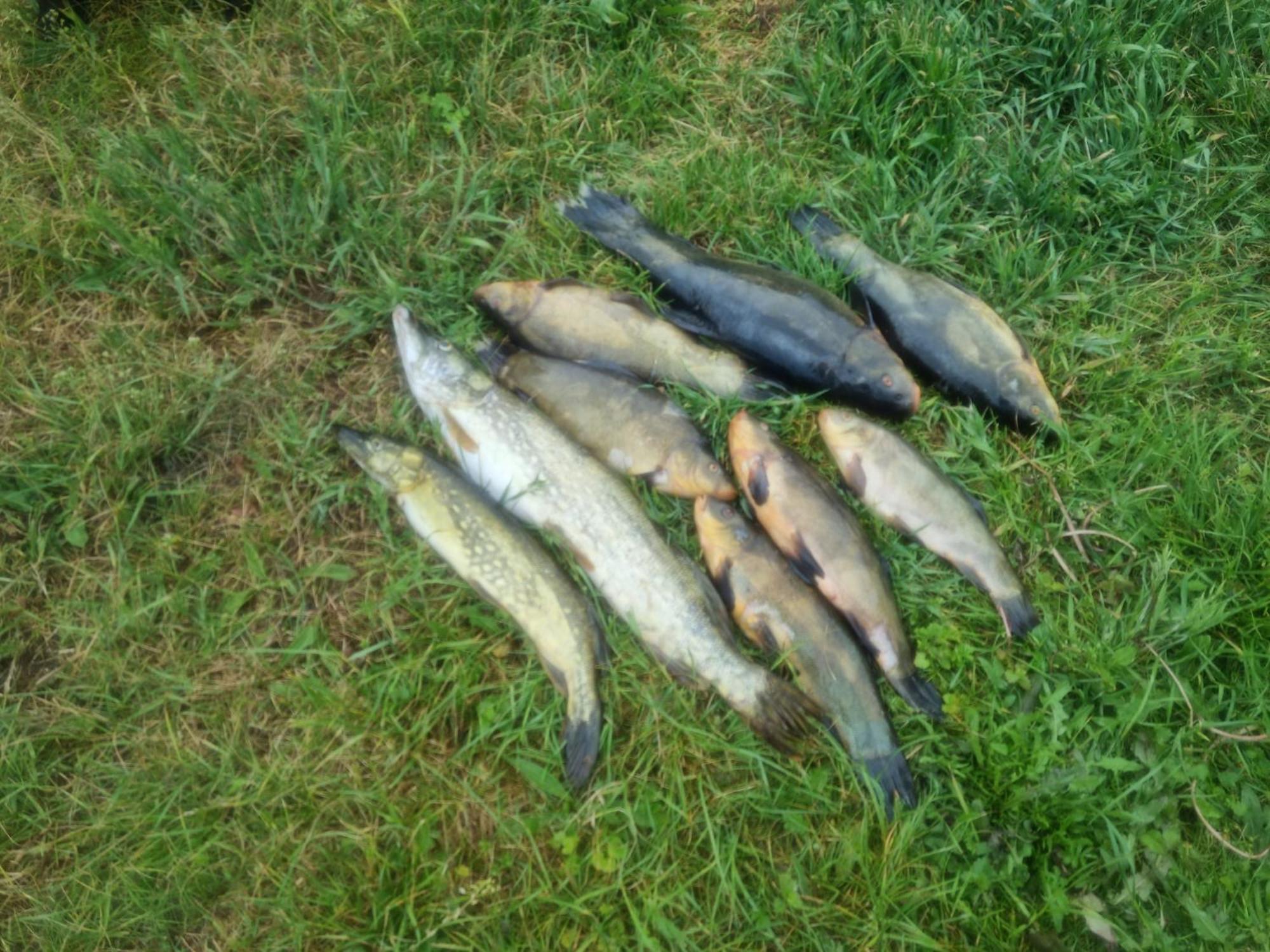Вілла Eko-Fish Мястко Екстер'єр фото