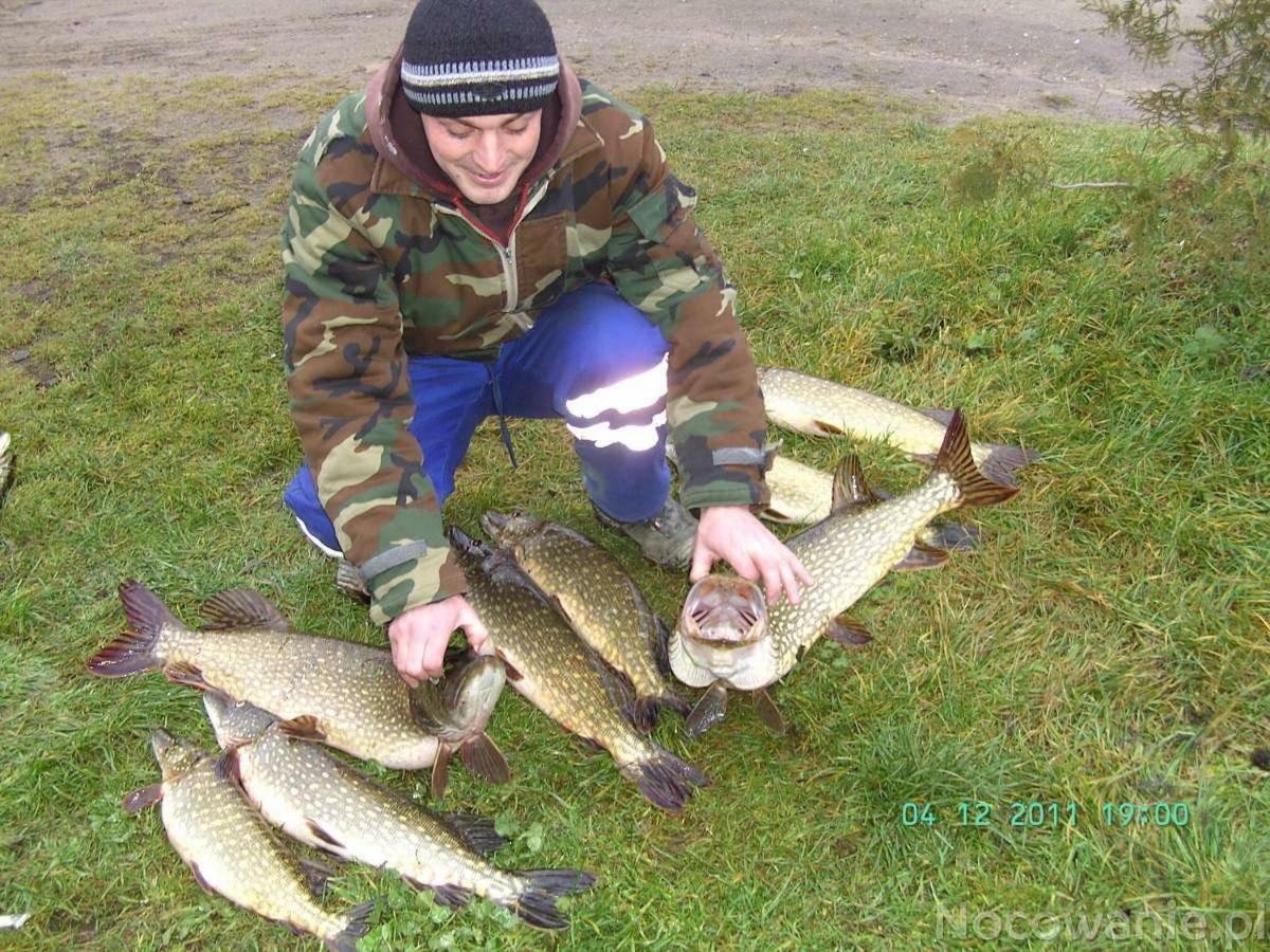 Вілла Eko-Fish Мястко Екстер'єр фото