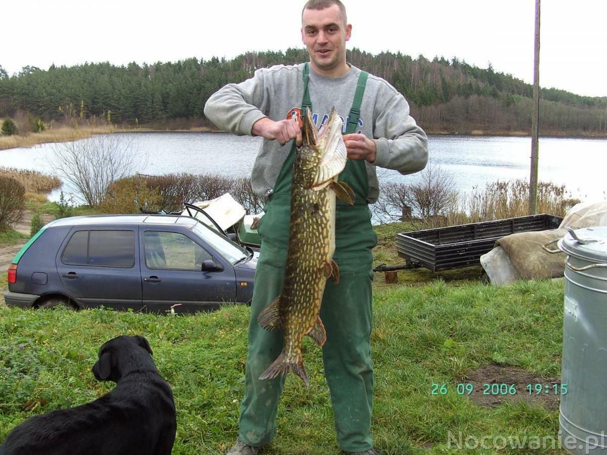 Вілла Eko-Fish Мястко Екстер'єр фото